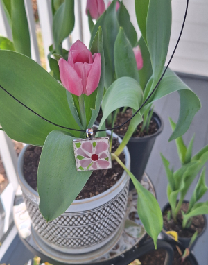 painted-lilies